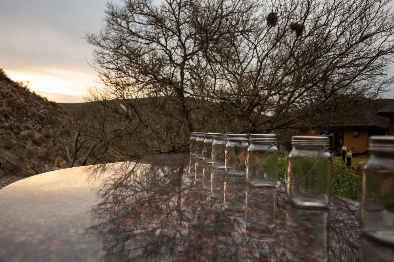 Indalu Game Reserve Boggomsbaai Exterior foto